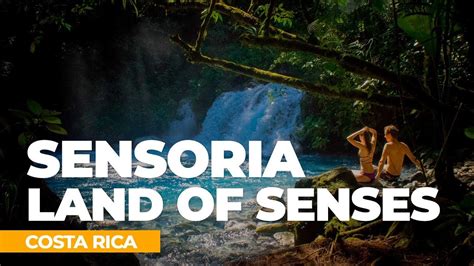 Sensoria land of senses and magical rainforest